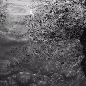 动美女裸奶🈲🈲🈲蘑菇视频
